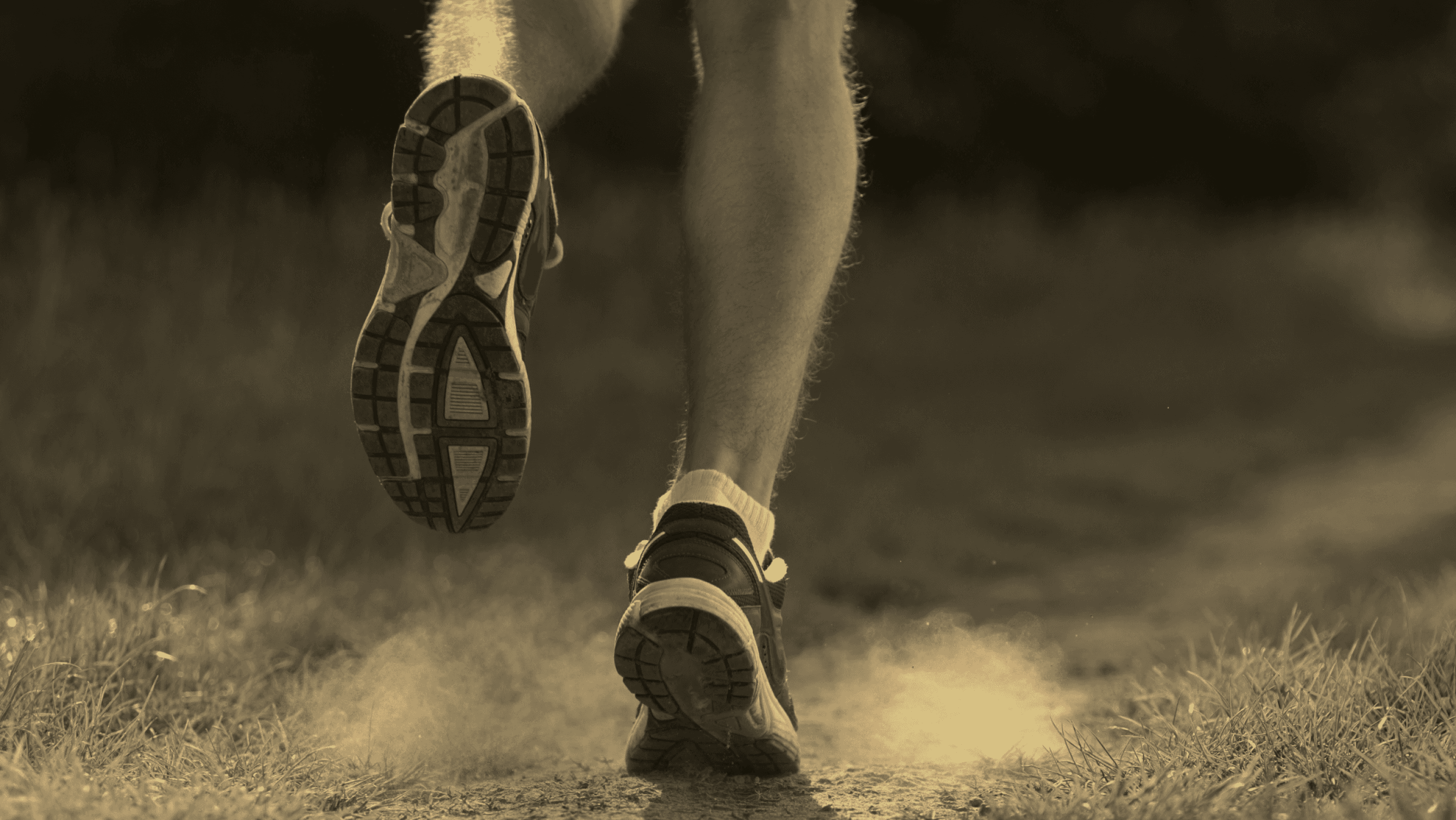 Runner moving forward on a sunlit trail, representing consistent daily action and continuity over time
